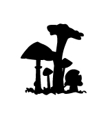 Conselleria de Medi ambient